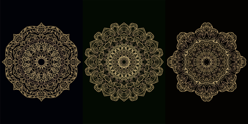 Three different patterns mandala decoration vector