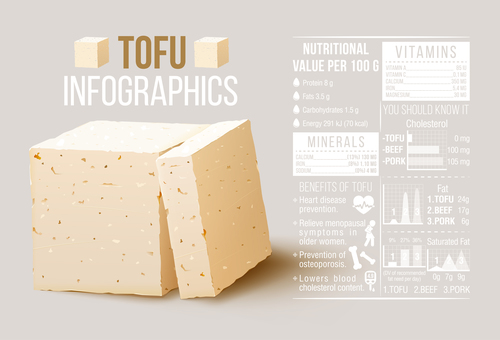 Tofu Infographics vector