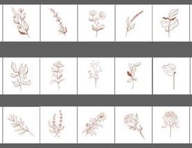 Botanical line art illustration vector