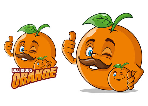Character design fruit cartoon vector