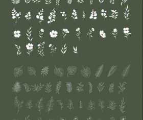 Floral Illustrations vector