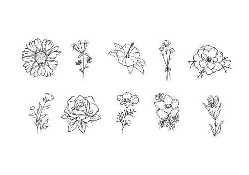 Flowers line art vector