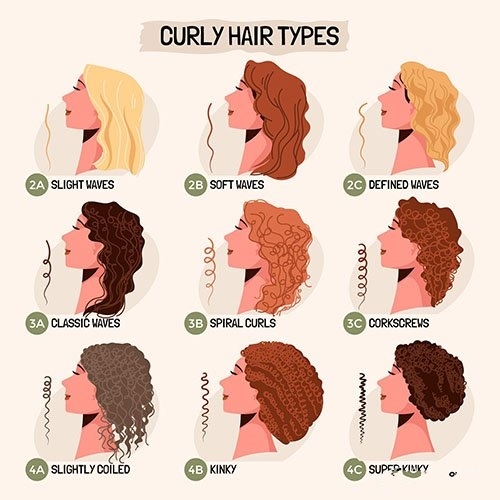 Hand drawn curly hair types set vector