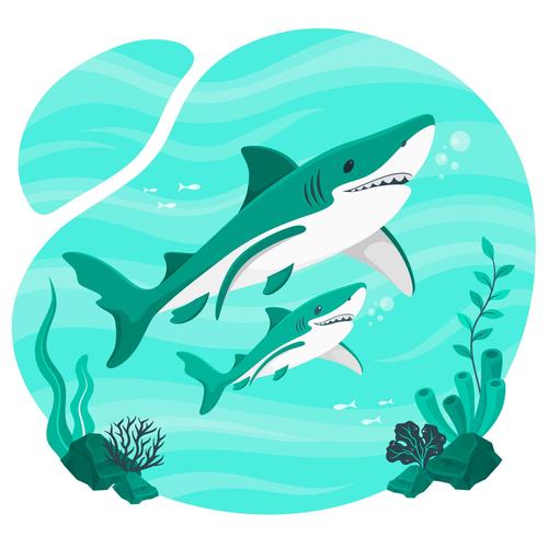 Sea shark illustration vector