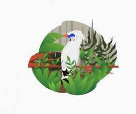 White head mynah illustrator vector