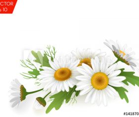 Beautiful flower background vector