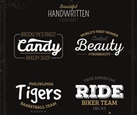 Beautiful handwritten logos vector