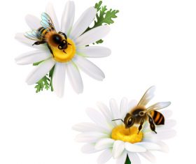 Bee collecting nectar background vector