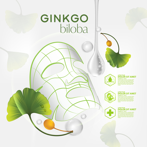 Biloba plant essence vector