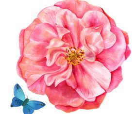 Butterfly and rose watercolor illustration vector