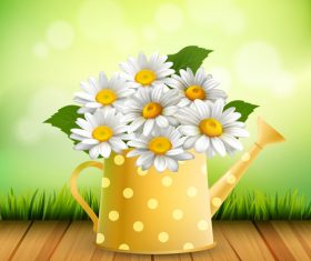 Chamomile flower arrangement vector