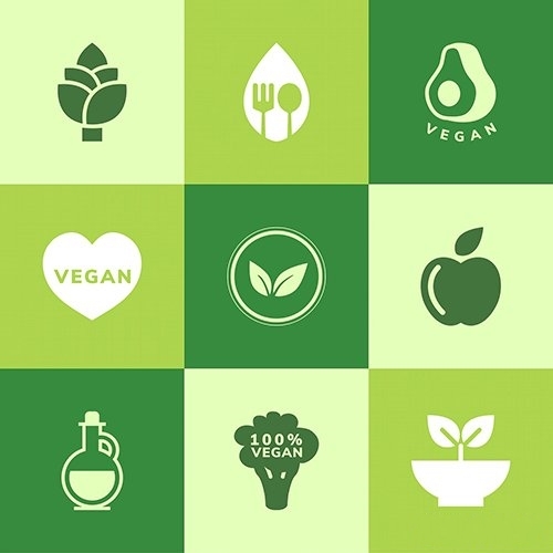 Collection of vegan icon vector