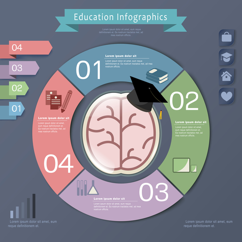 College education infographic concept vector