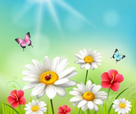Color butterfly and chamomile flower vector