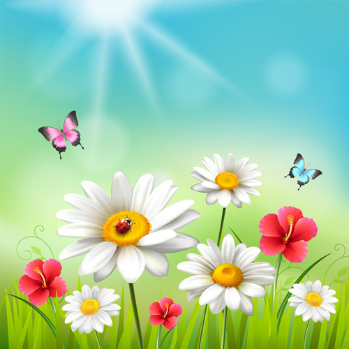 Color butterfly and chamomile flower vector