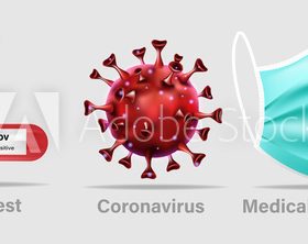 Coronavirus protection means vector