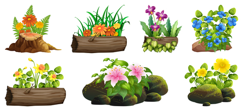 Dead wood and stones and flowers vector