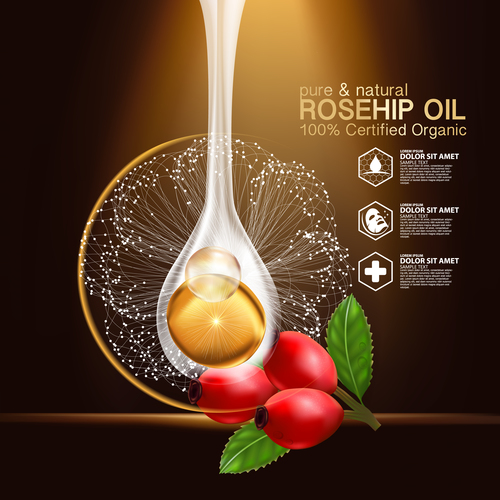 Extract essence rosehip oil vector