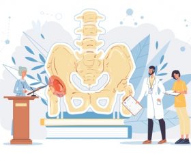 Femoral head medical lecture vector