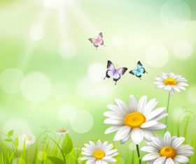 Flowers chamomile in vector