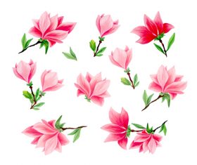 Flowers vector