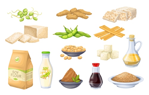 Food elements icons for design vector