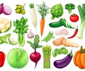Fresh vegetable elements icons for design vector