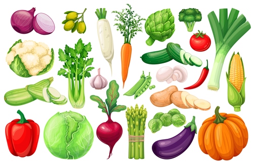 Fresh vegetable elements icons for design vector