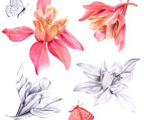 Fuchsias flower watercolor illustration vector