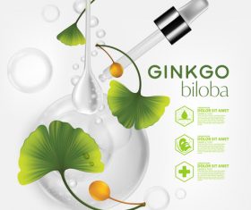 Ginkgo extract essence cosmetics vector