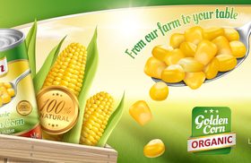 Golden corn promotional flyer vector