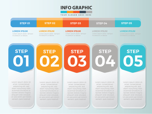 Info graphic design vector