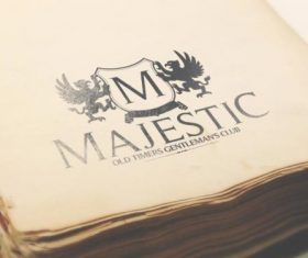 Paper texture vector