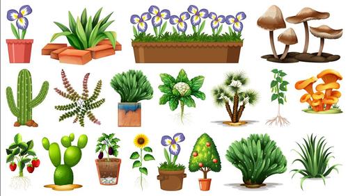 Plant flower pot background vector