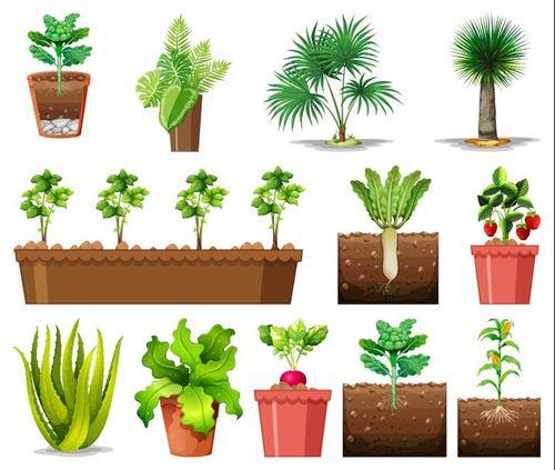 Planting crops cartoon background vector
