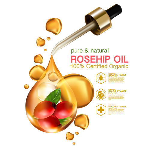 Pure natural rosehip oil vector
