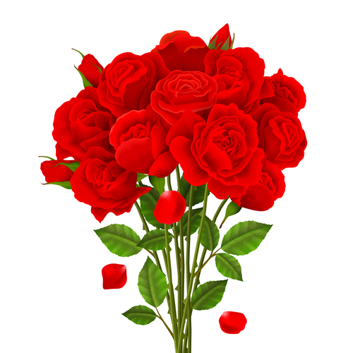 Red rose bouquet vector