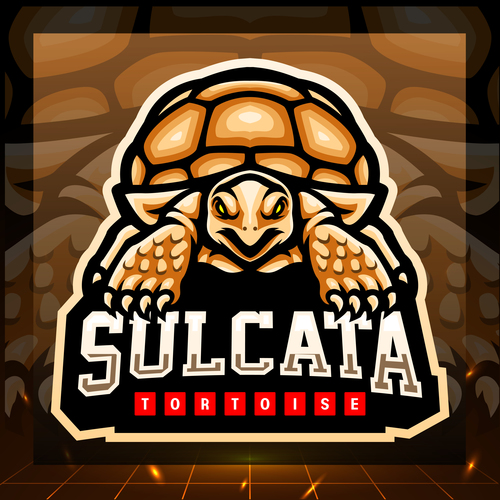Sulcata tortoise mascot emblem vector
