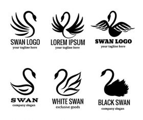 Swan logo set of white or black swan vector