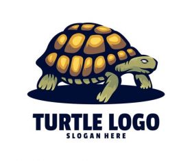 Turtle logo design vector
