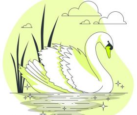 White swan illustration vector