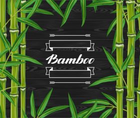 Bamboo background frame vector