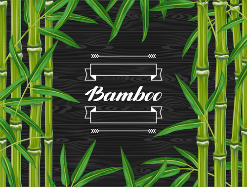 Bamboo background frame vector