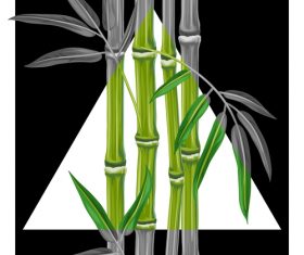 Bamboo in vector