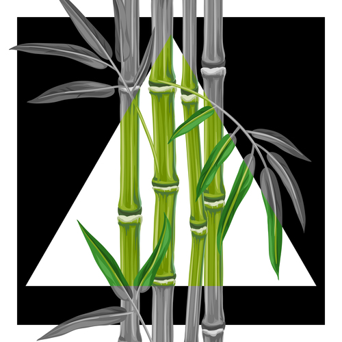 Bamboo in vector