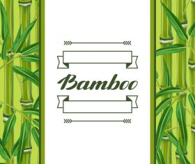 Bamboo watercolor background frame vector