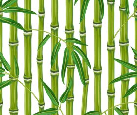 Bamboo watercolor painting vector