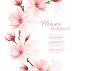 Beauty nature frame with pink magnolia vector