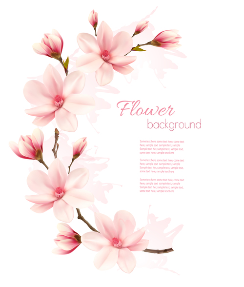 Beauty nature frame with pink magnolia vector