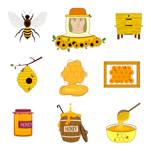Beekeeping icon vector